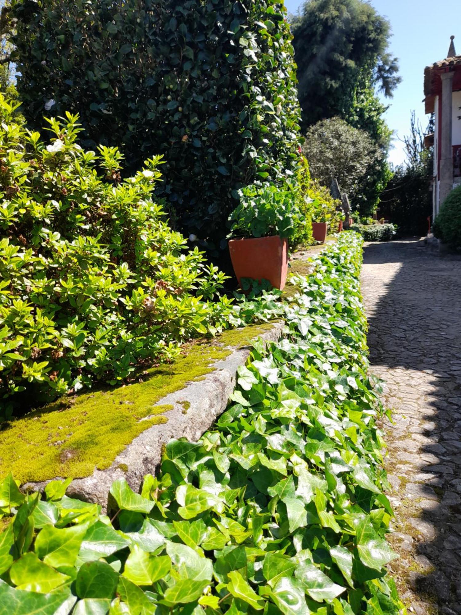 Quinta Da Mainha - Charming Houses Braga Exteriér fotografie
